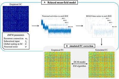 Age-Related Changes in Micro Brain Characteristics Based on Relaxed Mean-Field Model